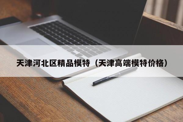 宁波天津河北区精品模特（天津高端模特价格）