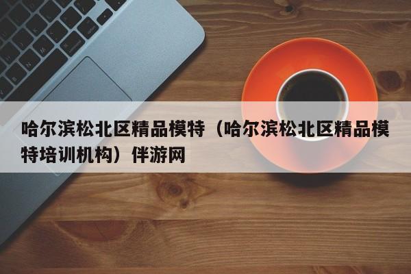 长春哈尔滨松北区精品模特（哈尔滨松北区精品模特培训机构）伴游网