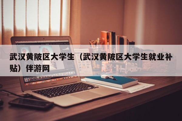 台州武汉黄陂区大学生（武汉黄陂区大学生就业补贴）伴游网