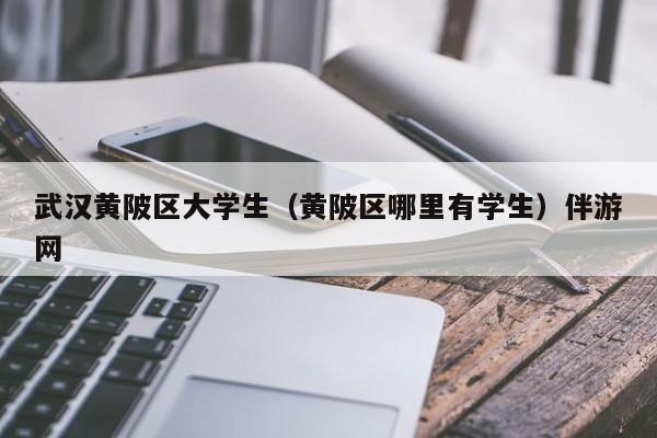 长春武汉黄陂区大学生（黄陂区哪里有学生）伴游网
